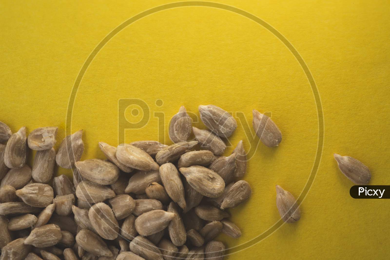 Sunflower Seeds Macro Portrait With Yellow Background