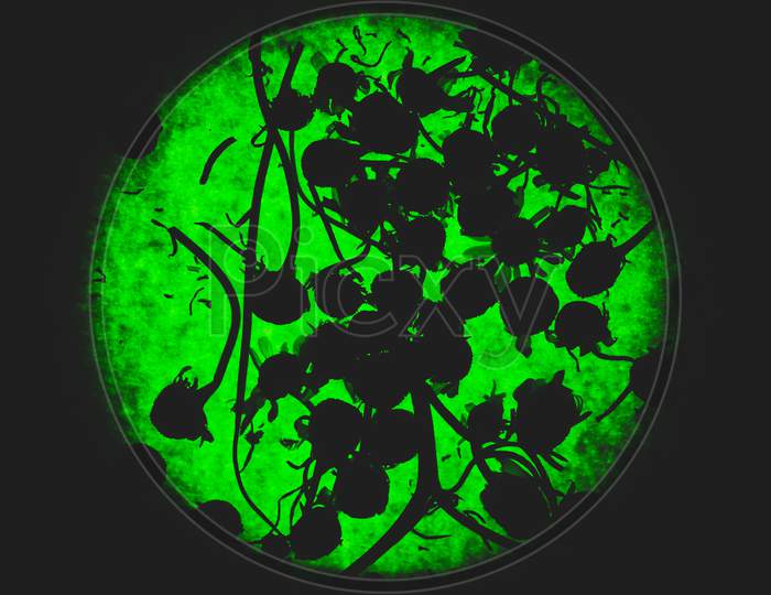 Abstract Portrait Of Silhouettes Of Dry Chamomile Plants And Flowers On Bright Green Neon Background