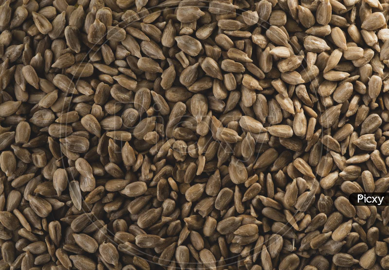 Many Sunflower Seeds, Top View Macro Photograph