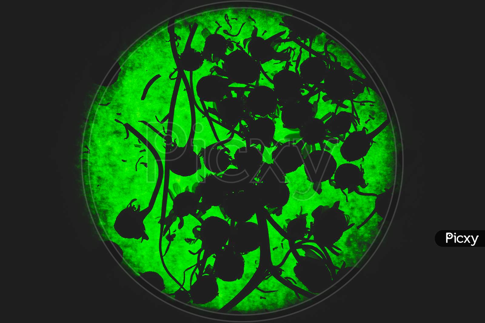 Abstract Portrait Of Silhouettes Of Dry Chamomile Plants And Flowers On Bright Green Neon Background