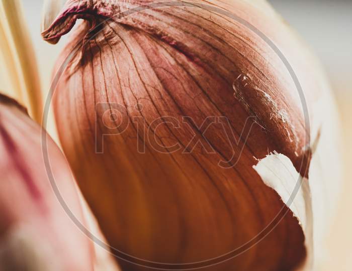 Macro Close Up Of  Garlic Clove / Skin Texture