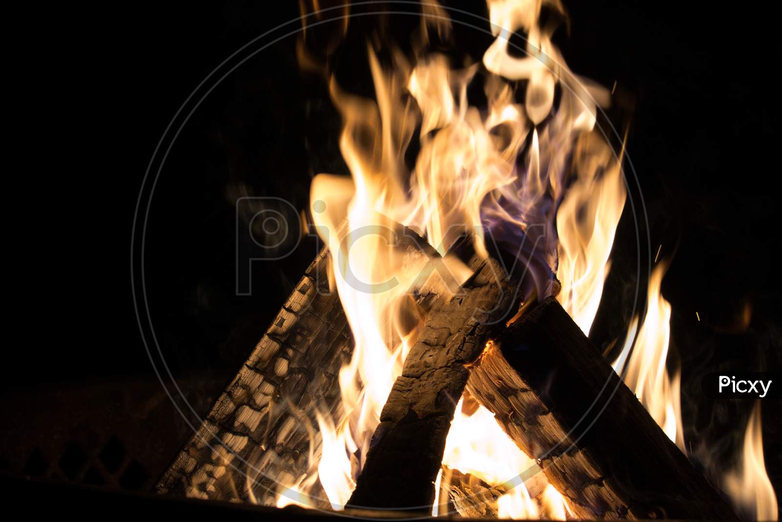 Bonfire, wood burning in flames