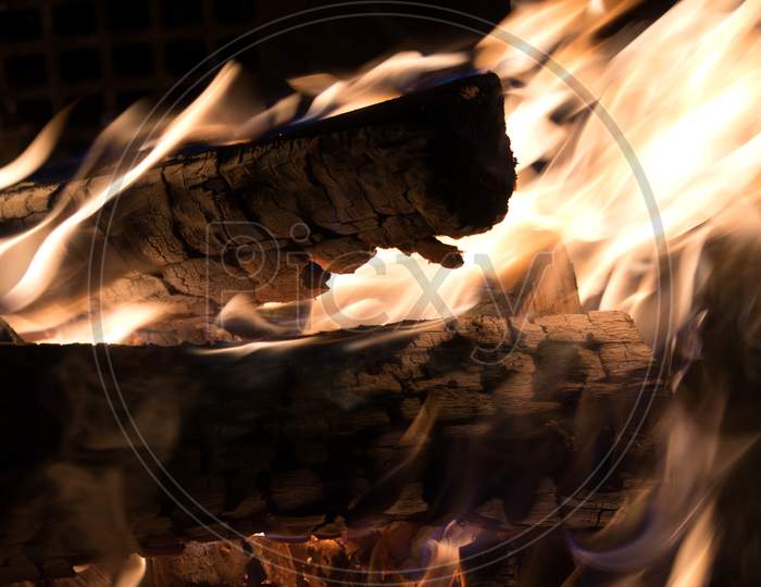 Bonfire, wood burning in flames