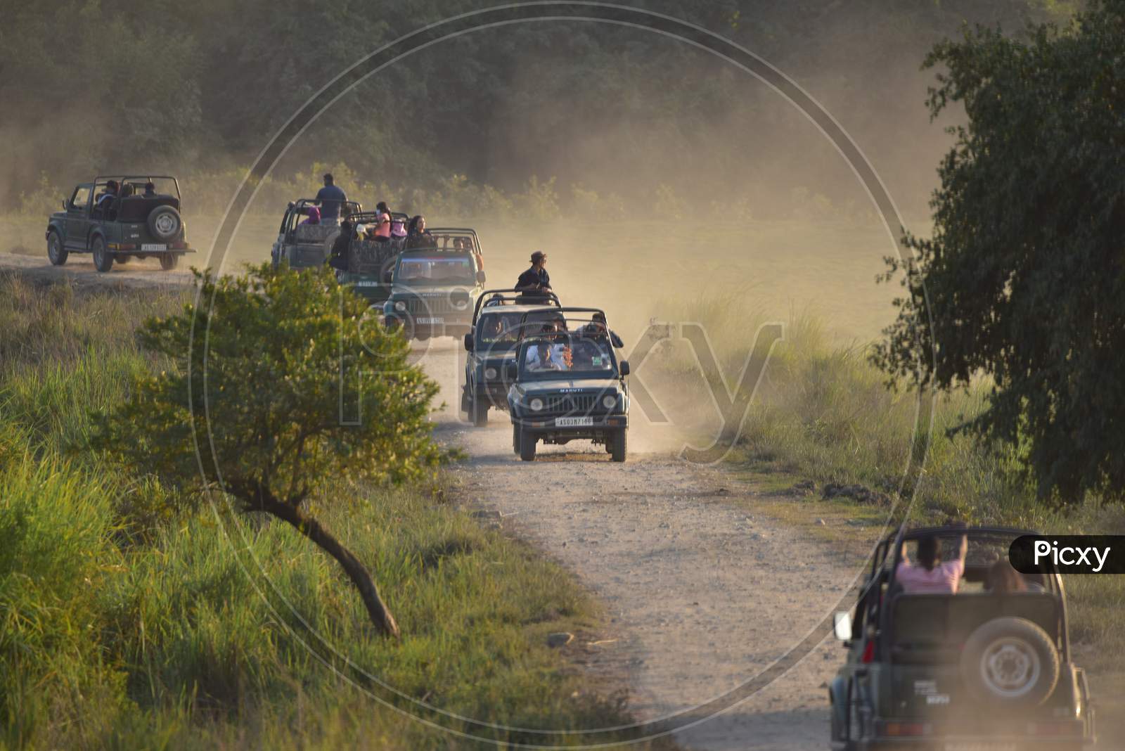 Tourists enjoy Jeep Safari on the first day of New Year 2021 inside the Kohora Range of Kaziranga National Park in Golaghat District of Assam on Jan 1,2021