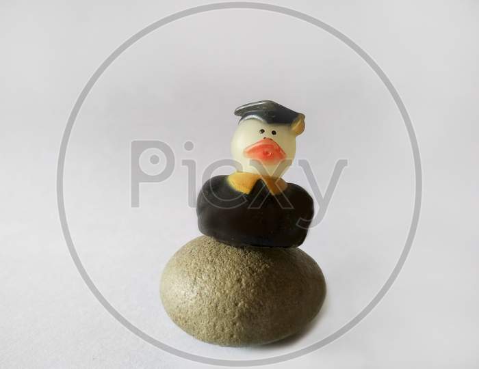 Toy Of Duck Sitting On Stone