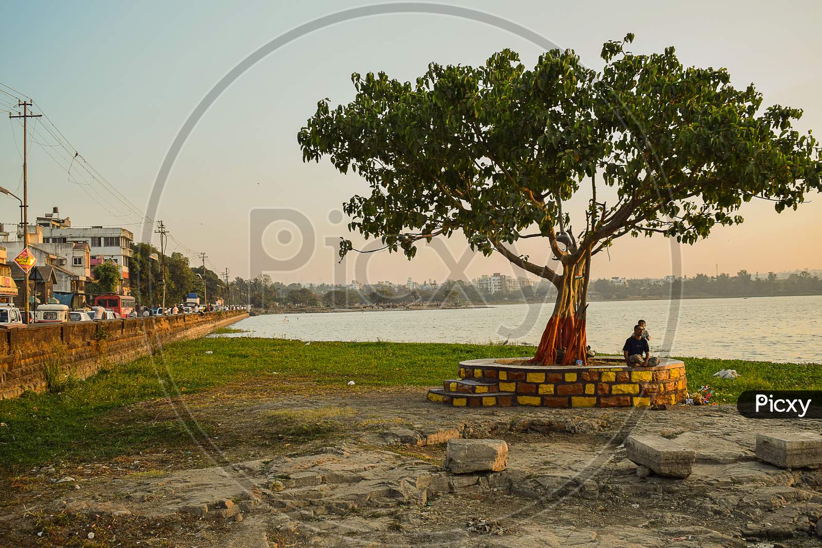 Kolhapur , Maharashtra , India- January 29Th 2019; Beautiful Warm Sunset In The City. A Man Sitting Under The Old Tree With His Son.