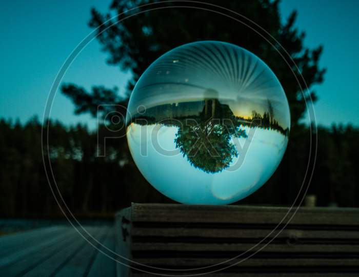 Reflection Of Tree In Crystal Ball