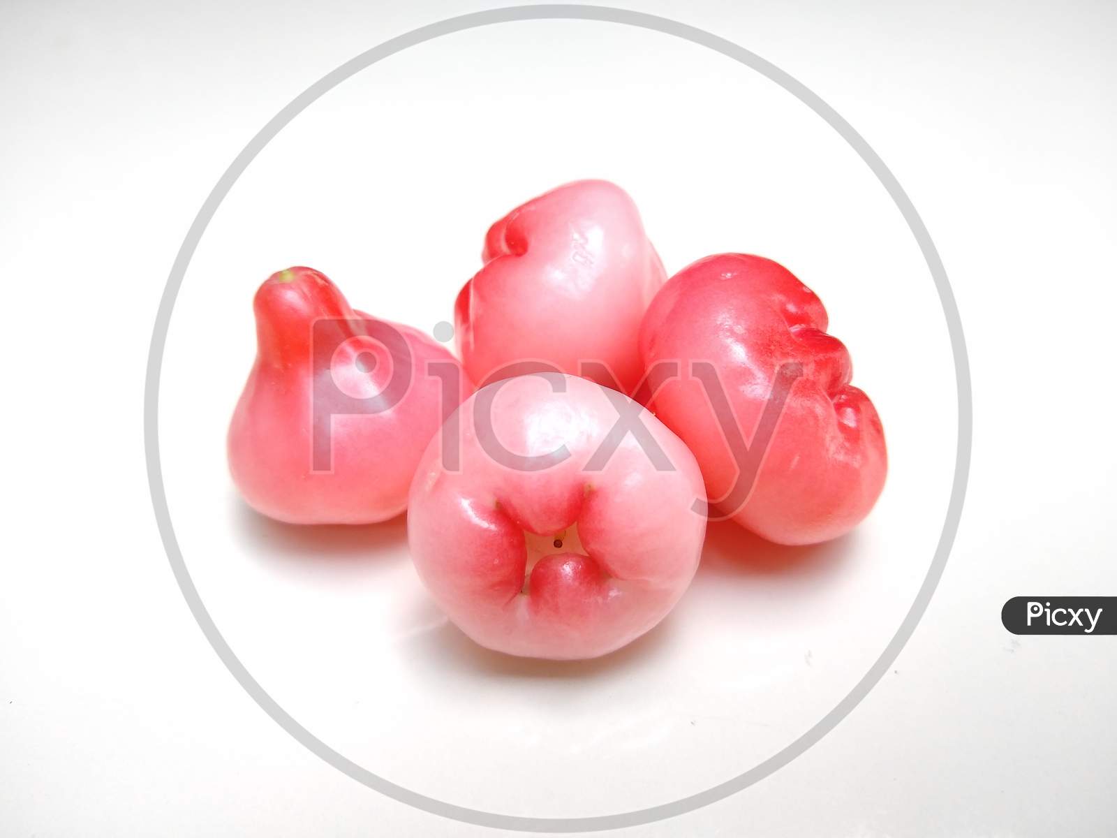 Java apple, Semarang rose-apple (Syzygium samarangense ) or wax jambu on white background