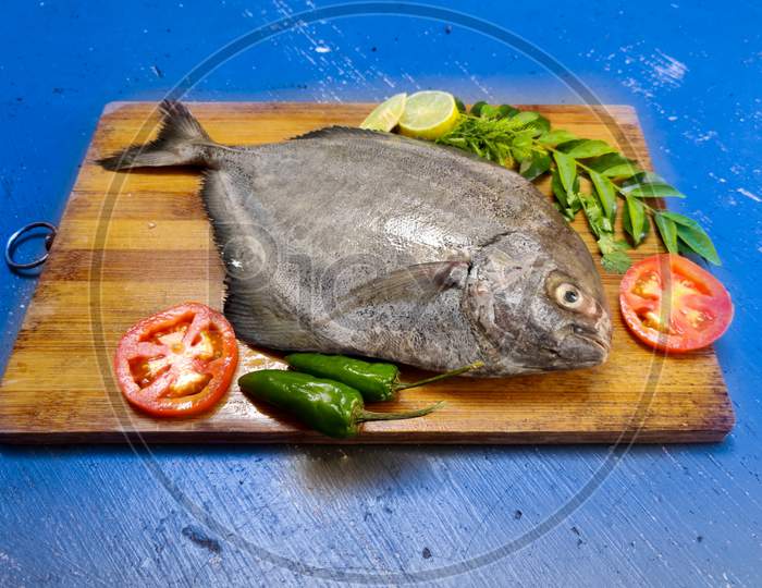 Closeup View Of Fresh Black Pomfret Fish Decorated With Herbs And Vegetables,Selective Focus.