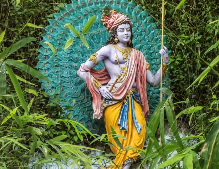 Lord shri krishna stand between a jungle
