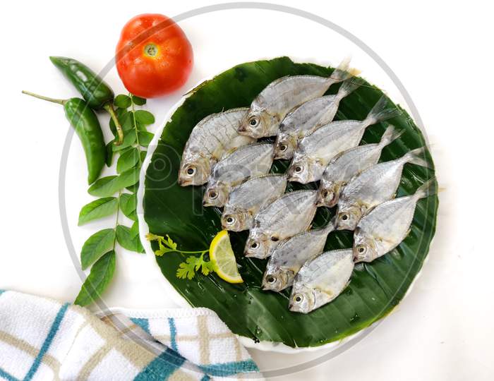 Closeup View Of Fresh Pony Fish Decorated With Herbs And Vegetables On A Wooden Pad,Selective Focus.White Background.