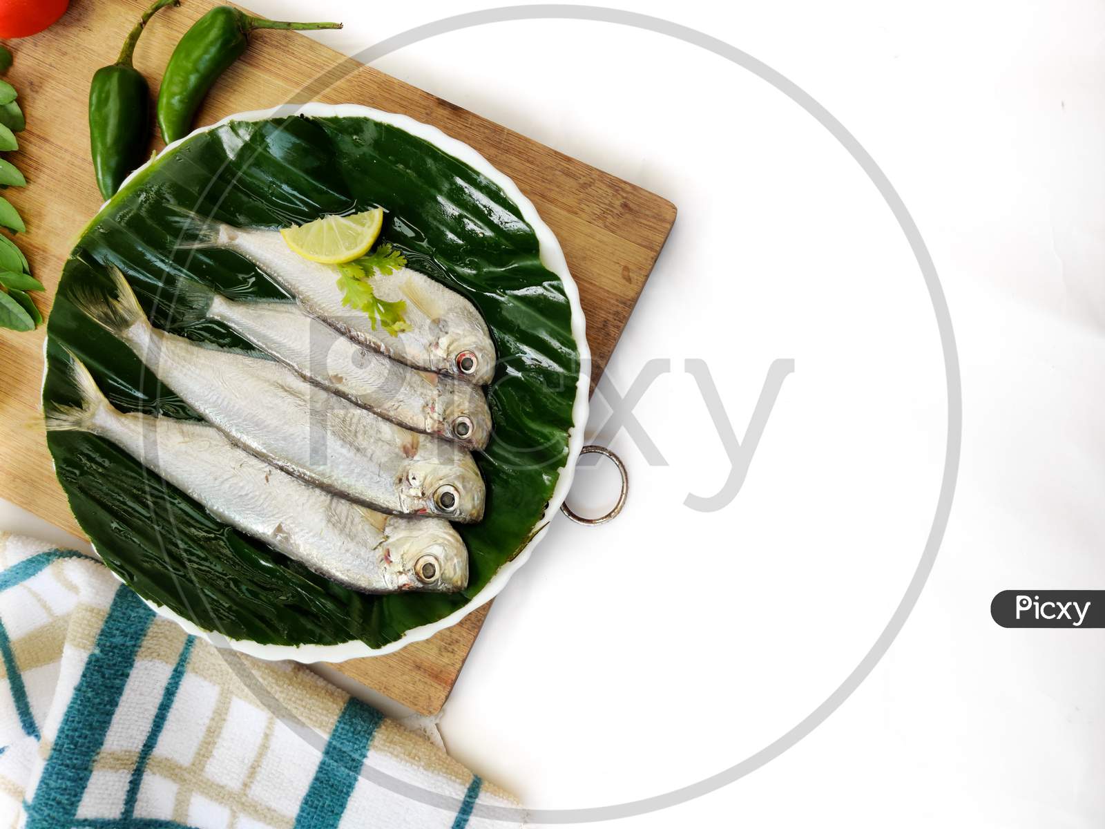 Closeup View Of Fresh Malabar Thryssa Fish Decorated With Herbs And Vegetables,Selective Focus.White Background.