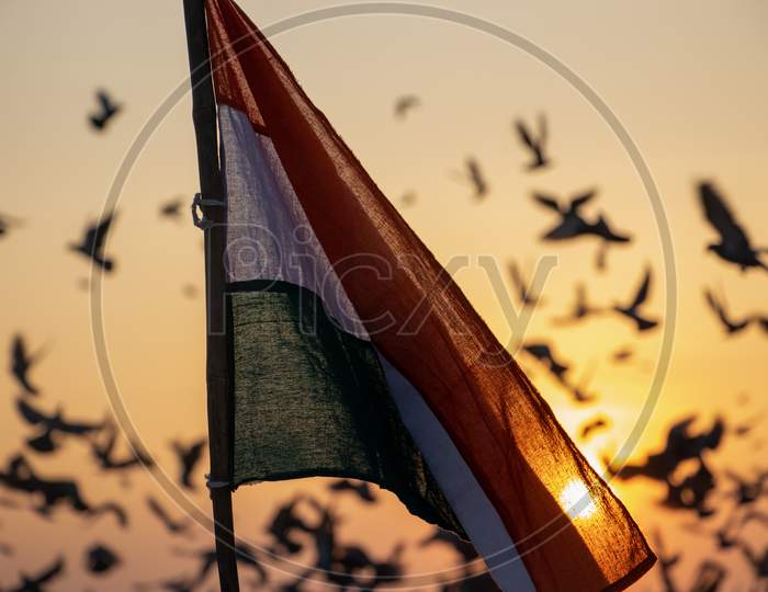 Indian Flag during Sunrise