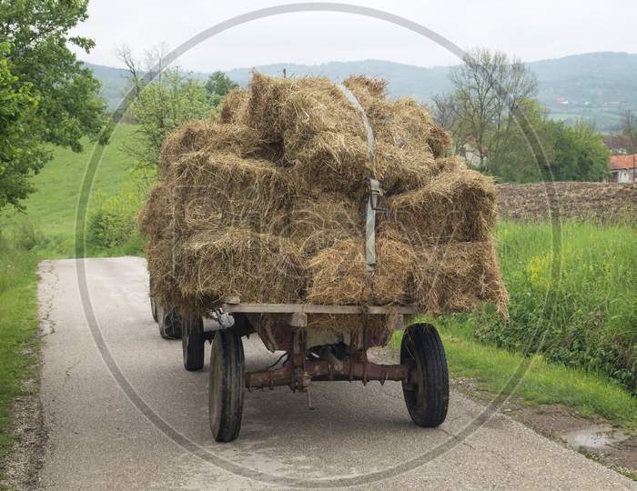 Bales Of Hay Stacked In The Cart.