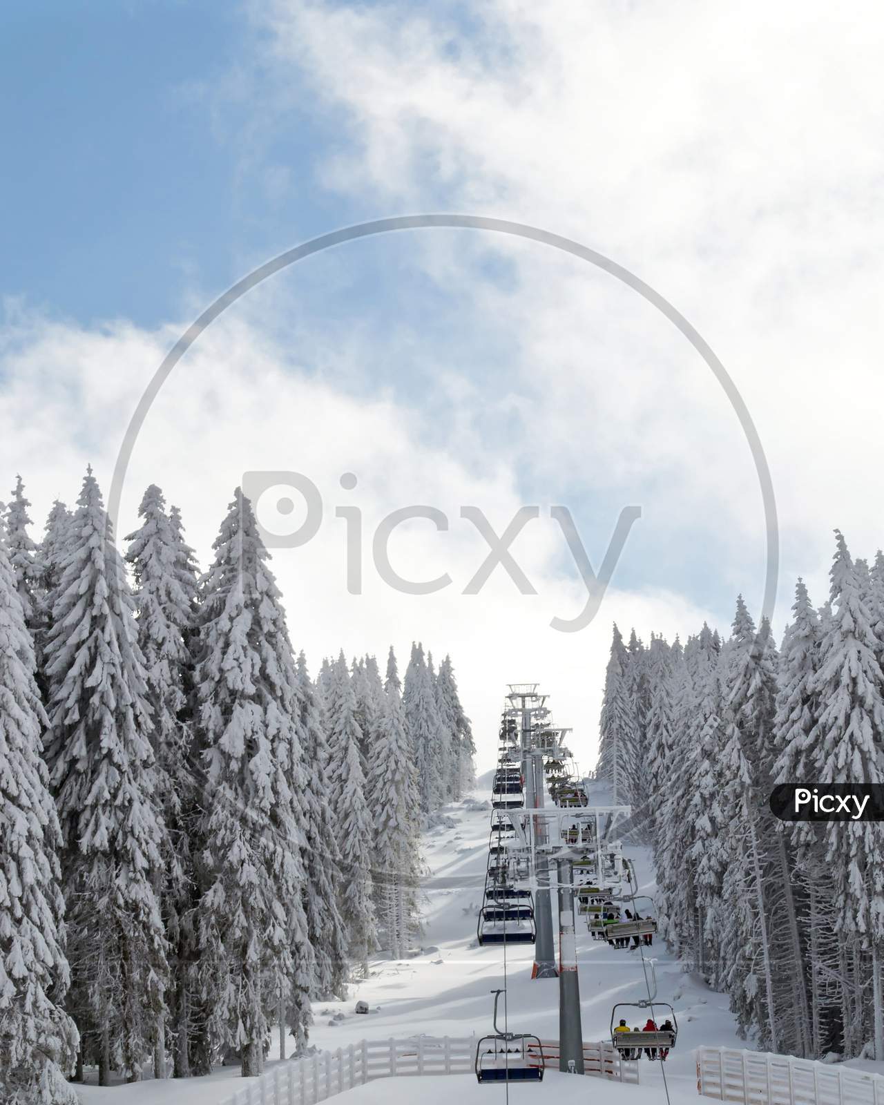 Winter Ski Landscape