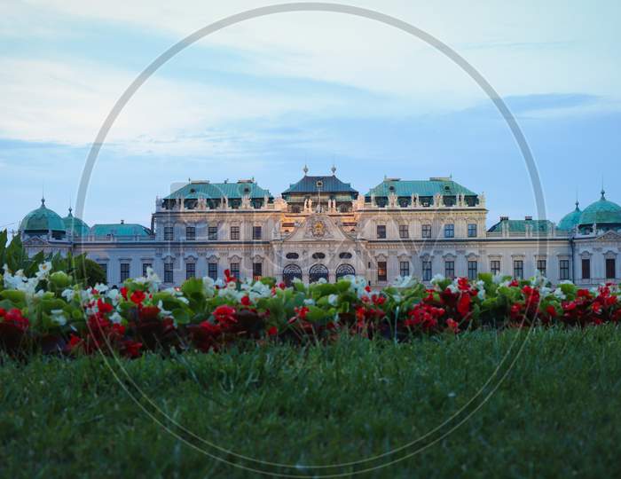 Flowers growing in front of Belvedere Palace on a summer evening.
