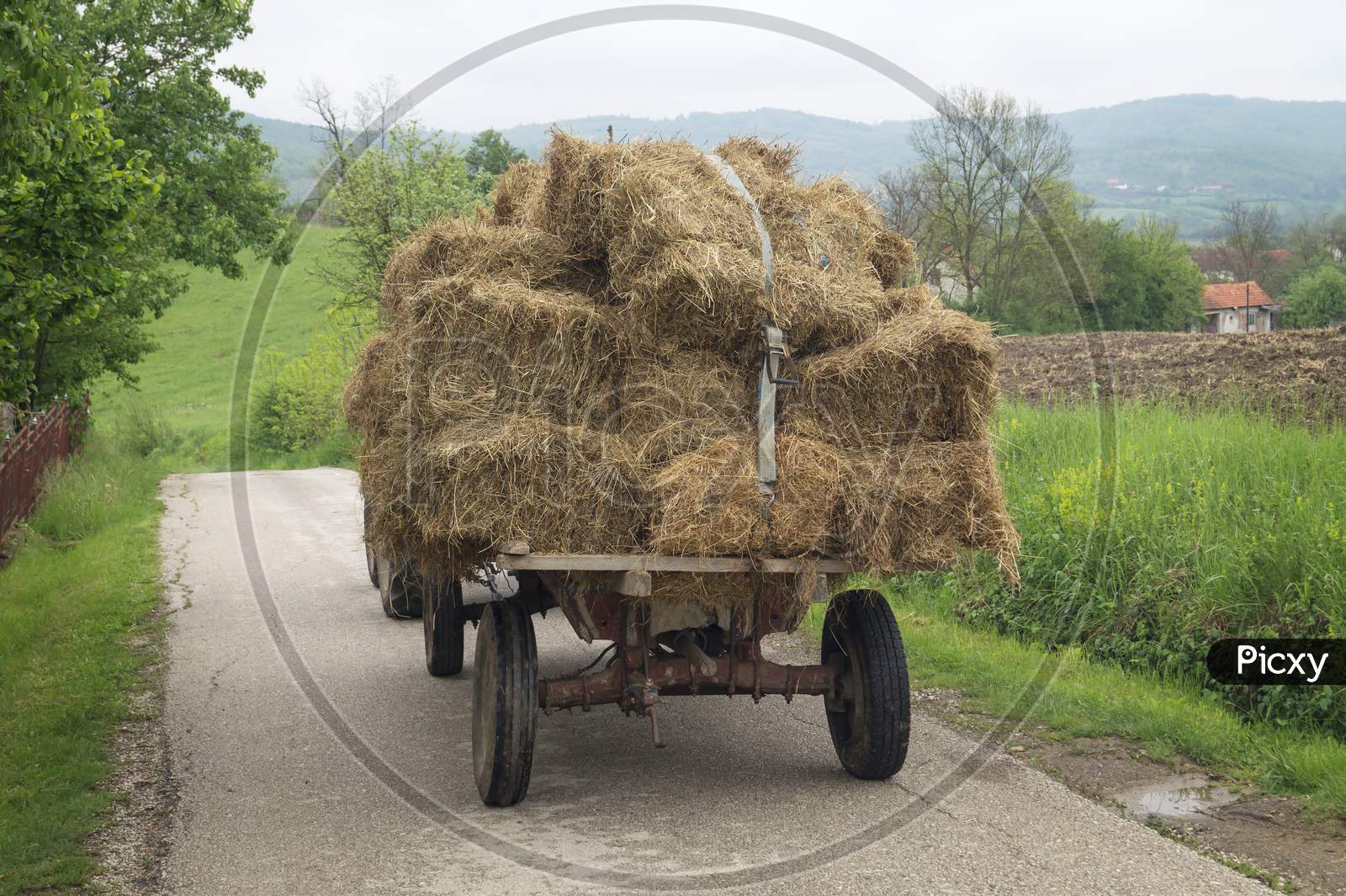 Bales Of Hay Stacked In The Cart.