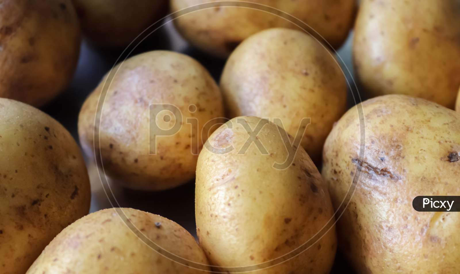 Top View At Uncooked Potatoes On A Metallic Surface. Kitchen Concept