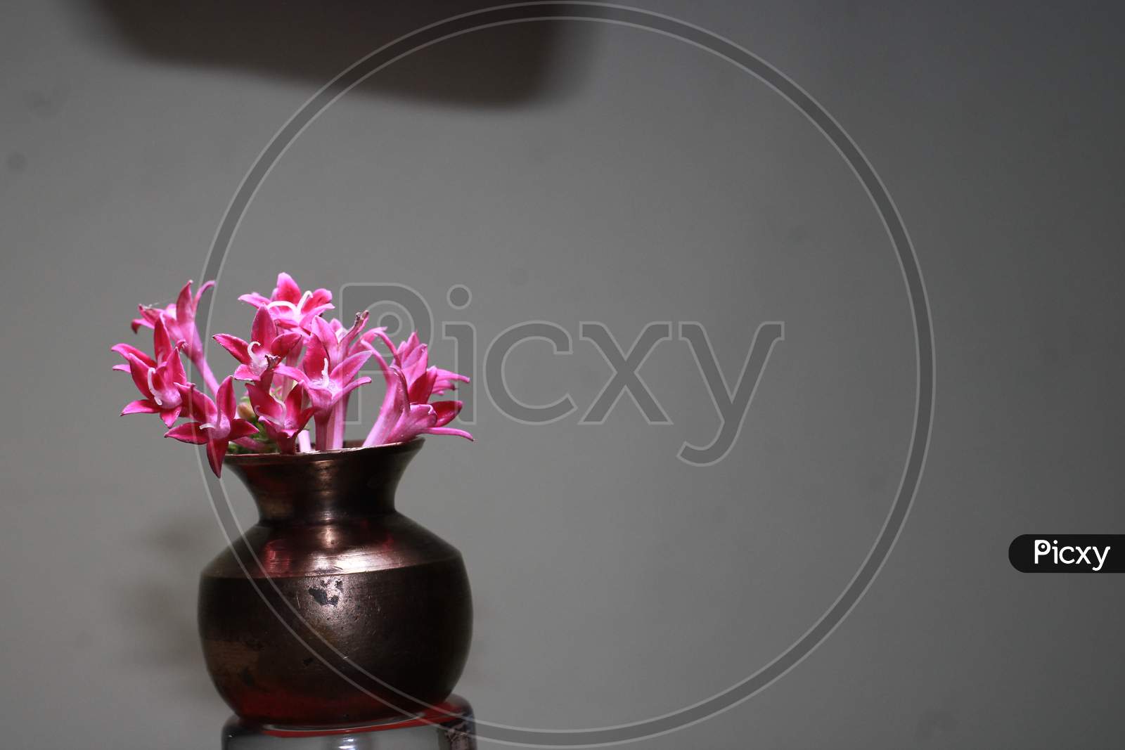 Beautiful Red flower in tiny Vase
