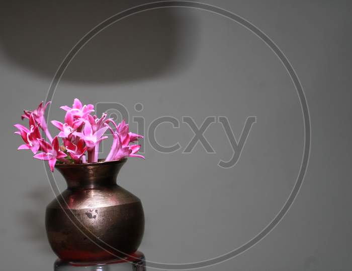 Beautiful Red flower in tiny Vase