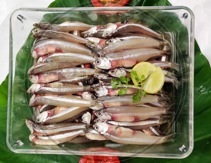 Fresh Anchovy Fish Decorated With Herbs And Lemons On A White Background,Selective Focus.