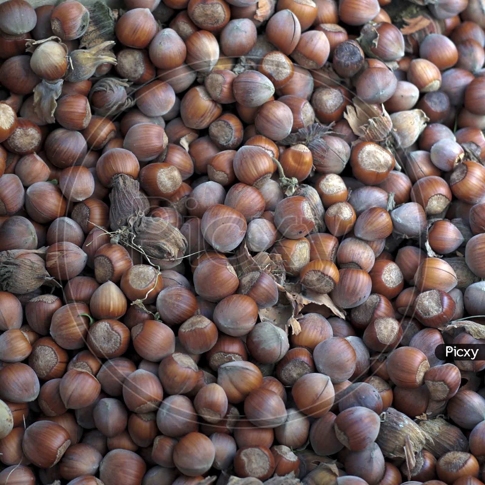 Crop Of A Surface Coated With The Hazelnuts As A Food Backdrop Composition