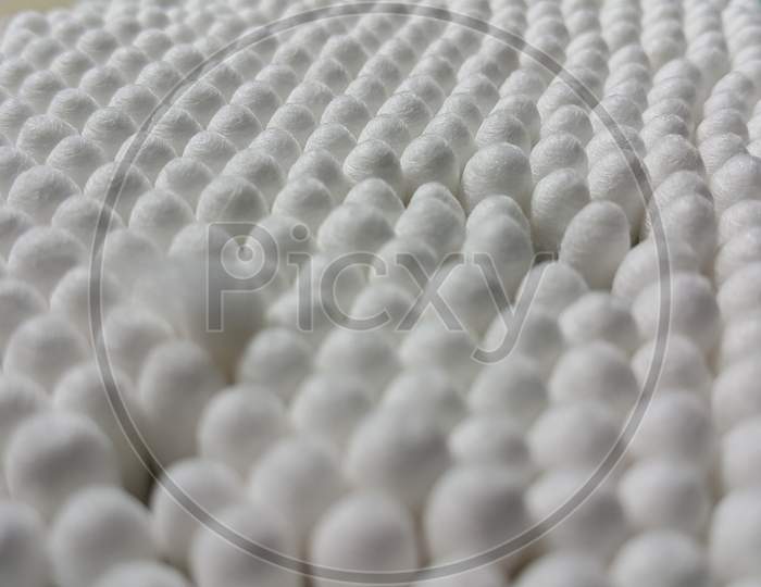 Closeup View Of Several Cotton Buds Heads
