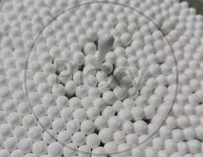 Closeup View Of Several Cotton Buds Heads