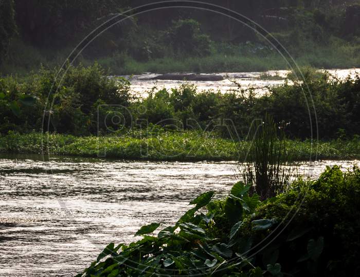View Of Flow Of Water In Bharathappuzha River (Also Known As Nila Or Ponnani River), Pollachi, Tamil Nadu, India. Selective Focus