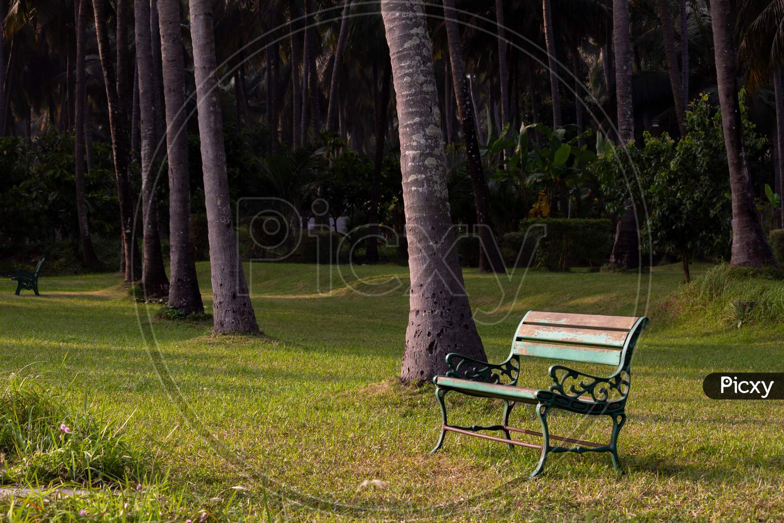 A Steel Bench In A Green Grass Field. Empty Chair In A Park. Focus Set Of Chair Grill