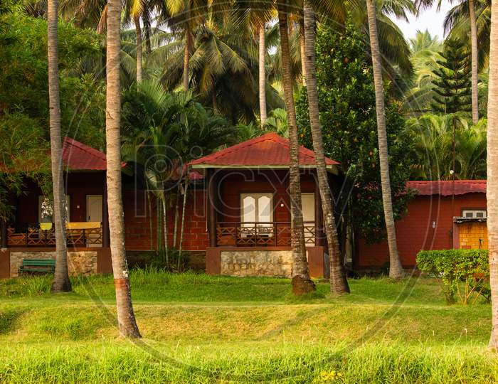 Guest House In Middle Of Natural Surroundings Of Coconut Tree Plantation, Pollachi, Tamil Nadu, India