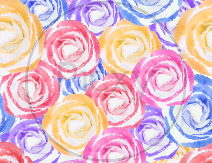 Seamless colorful rose pattern. Red, pink, yellow, violet, blue roses.  Great for scrapbook cards, web background , textile and home decor projects.