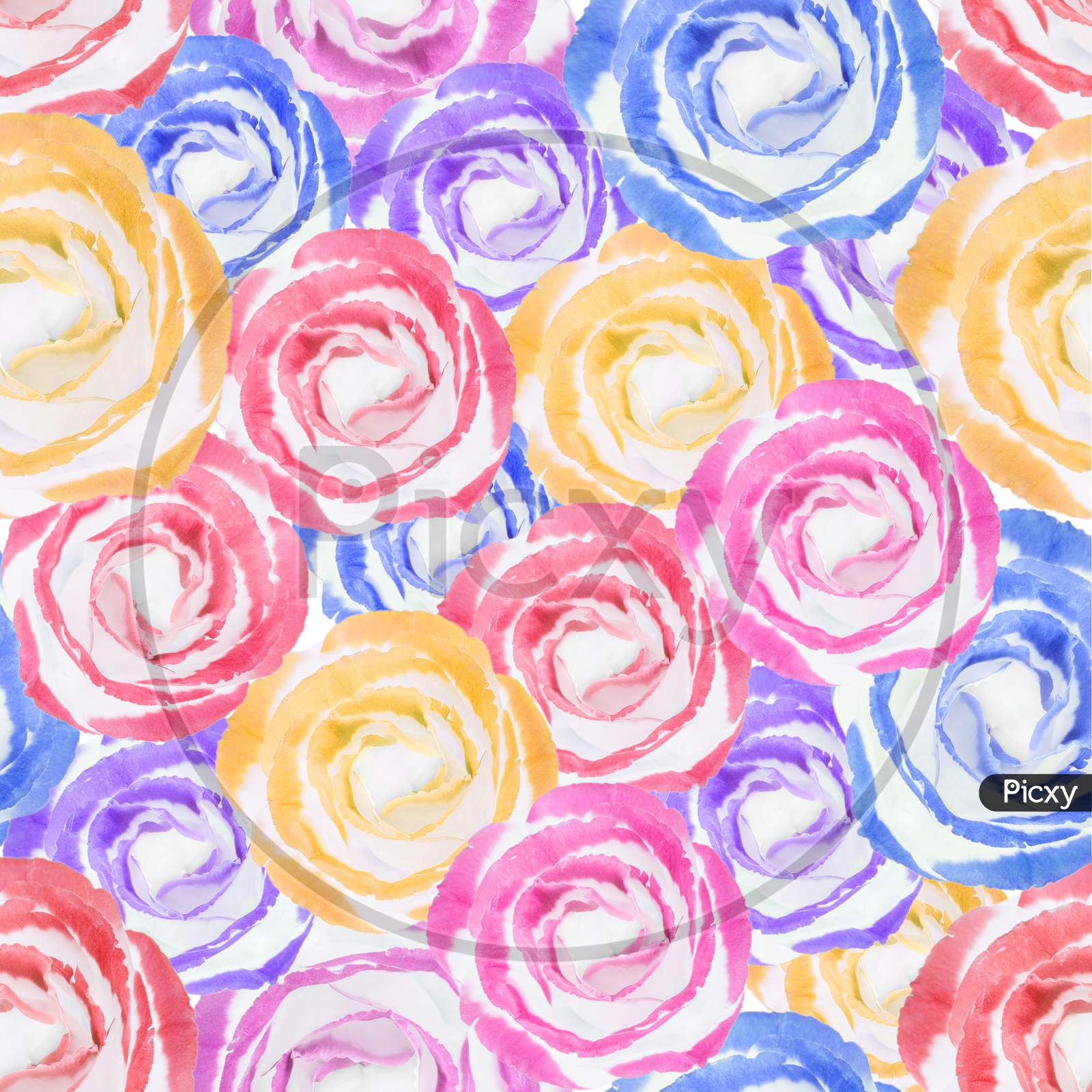 Seamless colorful rose pattern. Red, pink, yellow, violet, blue roses.  Great for scrapbook cards, web background , textile and home decor projects.