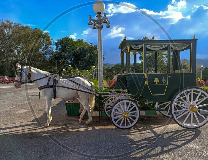 A Classic picture of a Horse Carriage in Vintage style used for Joy rides for the tourists visiting the Lalith Mahal Summer Palace at Mysuru,India.