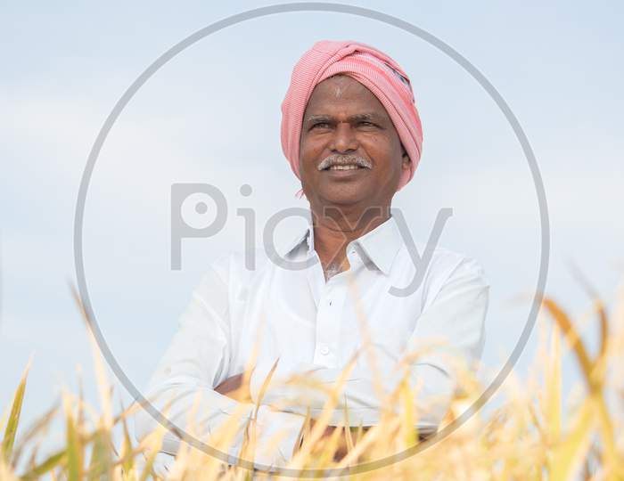 Portrait Of Confident Smiling Indian Farmer With Arms Crossed Standing In The Middle Of Agriculture Farmland