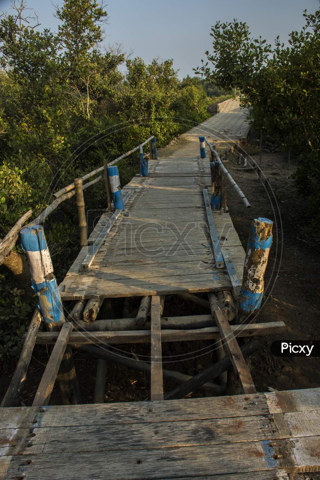 A Bamboo Bridge At The Entry Point Of "Henry Island".