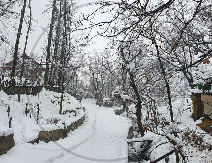 Heavy Snow Fall In Kashmir Made Whole Valley White.
