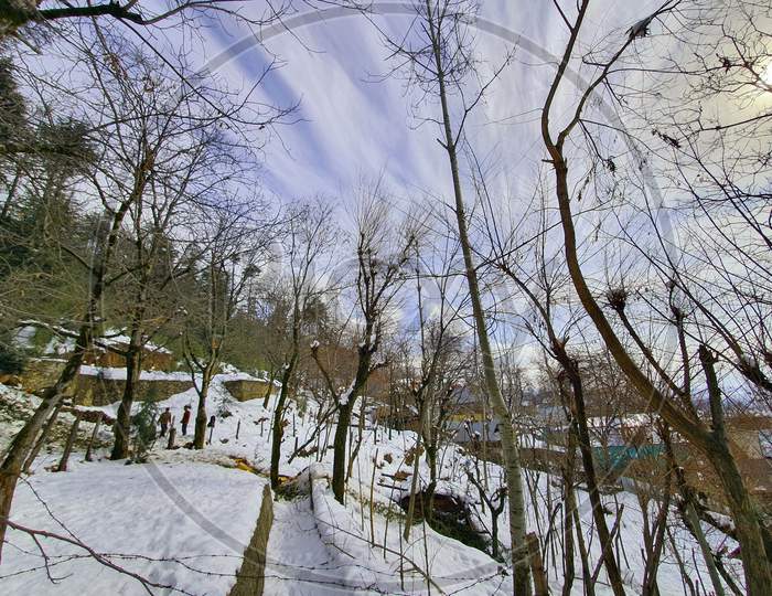 Heavy Snow Fall In Kashmir Made Whole Valley White.