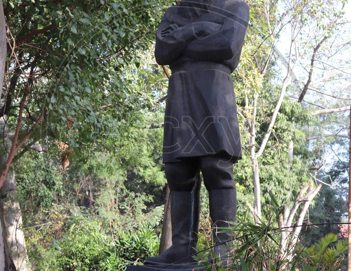 Leo Tolstoy Statue in Delhi