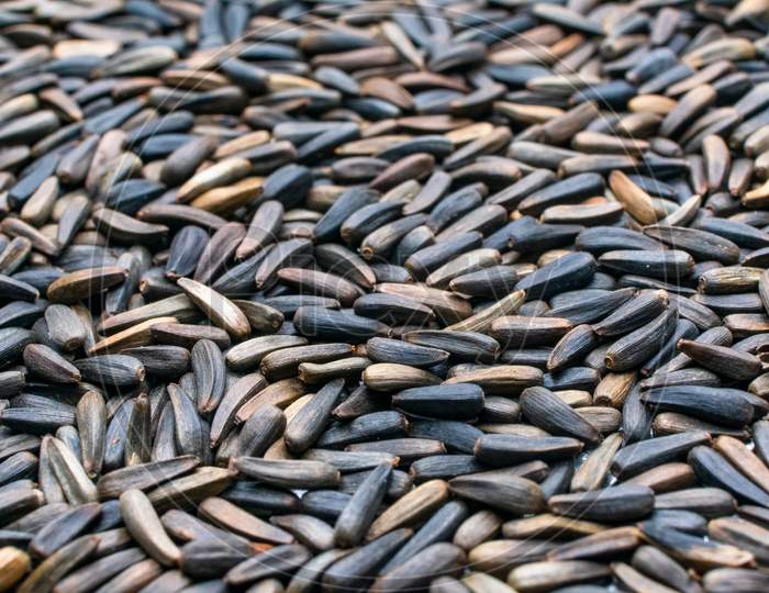 Niger Seeds Close Up For Background