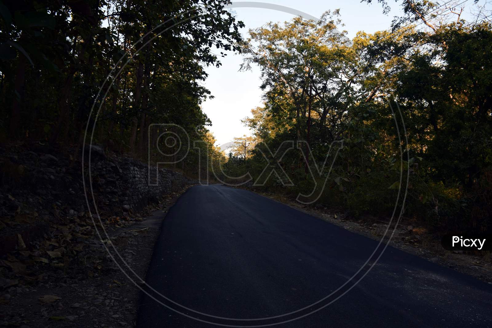 Centered Road Leading Symmetrical Through A Valley In The Thai Jungle In The Region Of Nainital, Uttarakhand, India