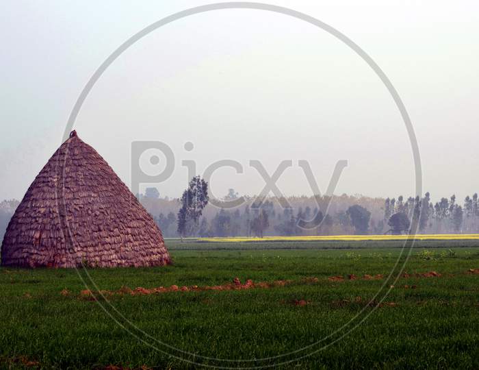 India Hut And Rice Field, Nainital, Uttarakhand