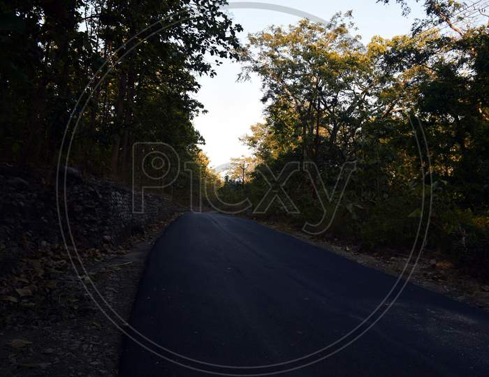Centered Road Leading Symmetrical Through A Valley In The Thai Jungle In The Region Of Nainital, Uttarakhand, India