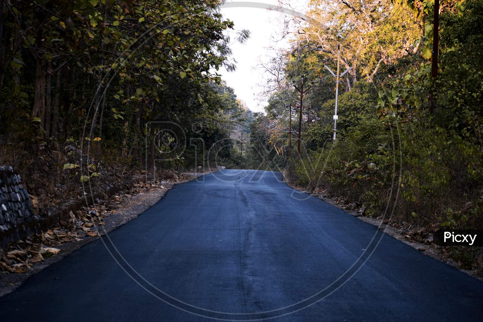 Centered Road Leading Symmetrical Through A Valley In The Thai Jungle In The Region Of Uttarakhand, India