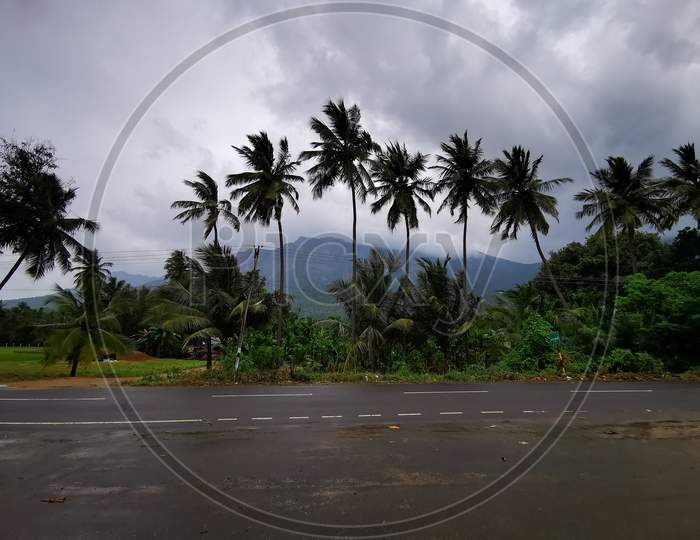 Long view of kolli hills from the highway