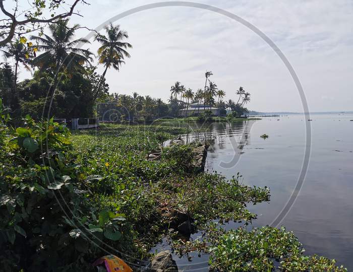 Banks of Vembanad lake, Kerala