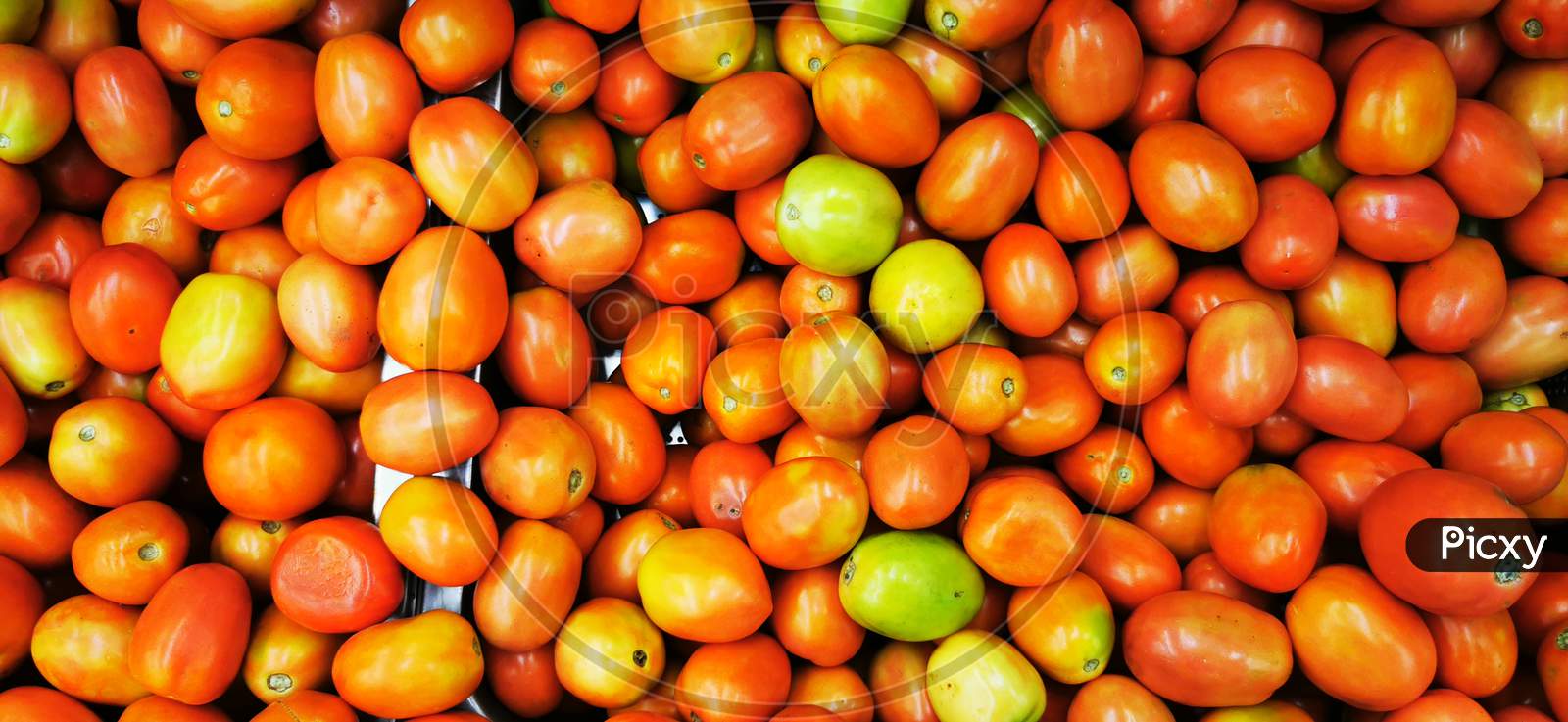 The tomato is the edible berry of the plant Solanum lycopersicum, commonly known as a tomato plant.
