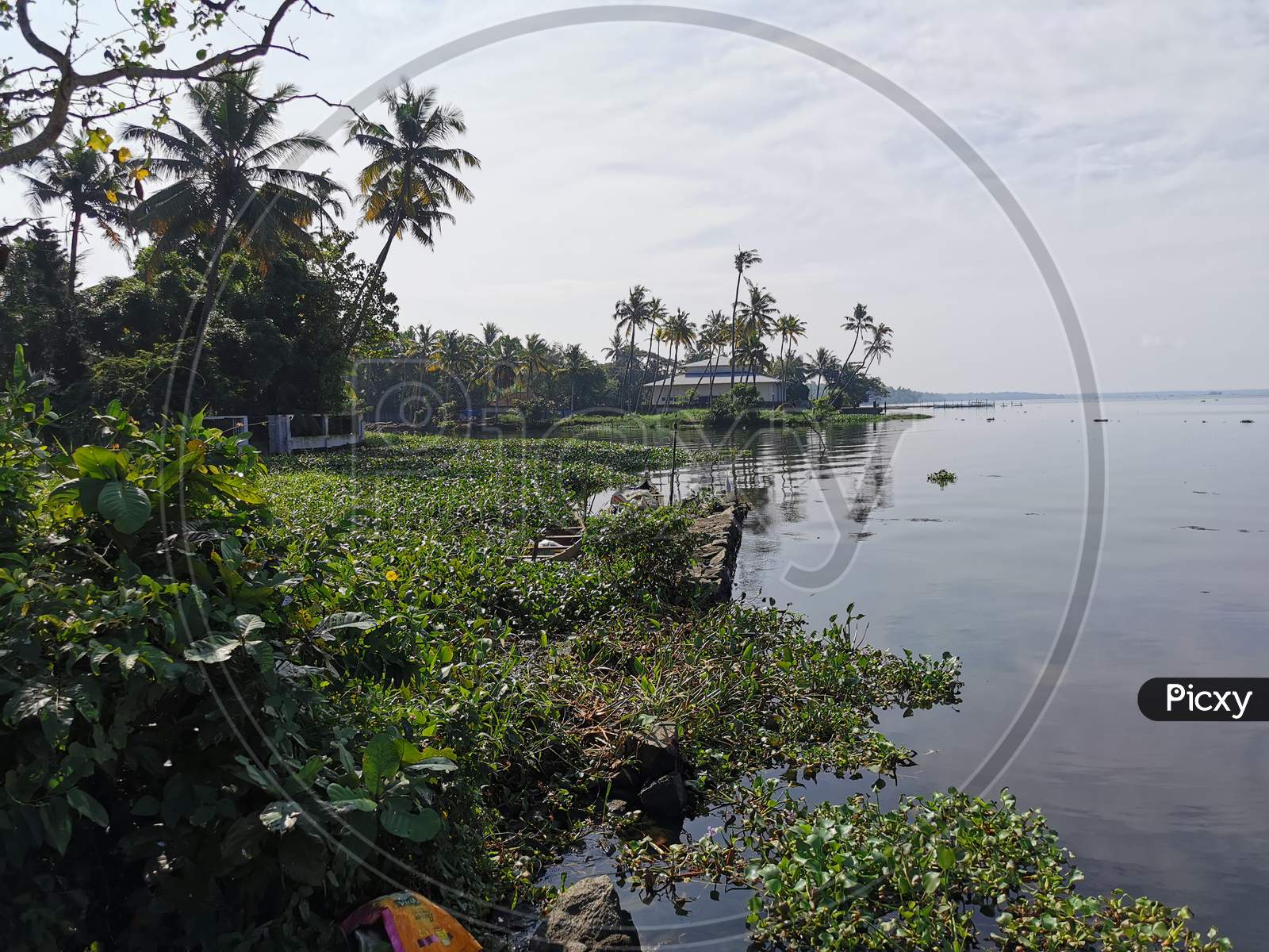 Banks of Vembanad lake, Kerala