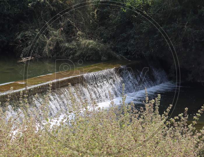 Small Dam is Surround with plants