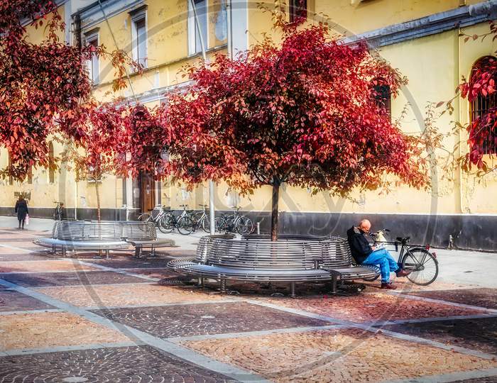 Man Reading In A Street In Monza